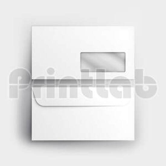 Envelope with Pocket Window