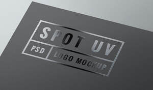 Print Spot UV Business Card