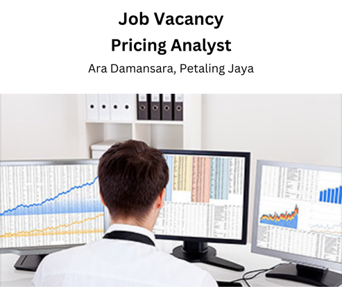 Job Vacancy Pricing Analyst